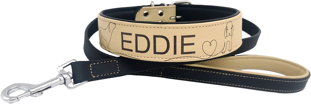 Eddie pgn w